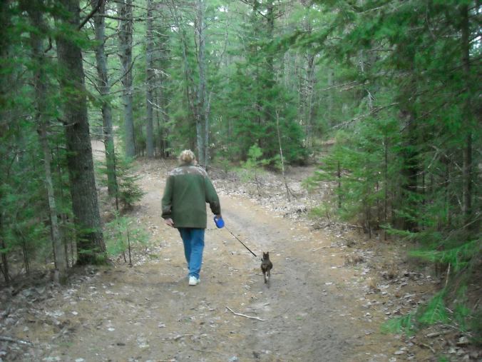 17858536_1429922003732757_1894574737_o